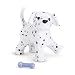 American Girl Pet - Dalmatian Puppy - MY AG 2014