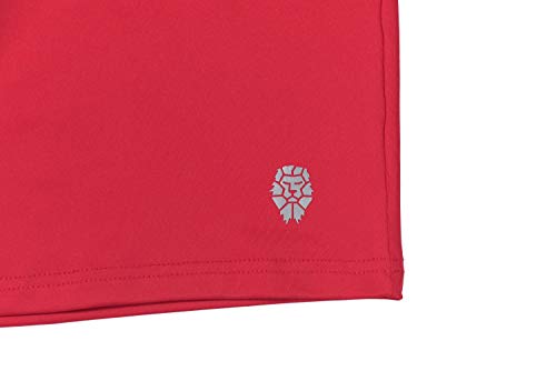 PIQIDIG Youth Boys' Loose Fit Athletic Shorts Quick Dry Active Shorts with Pocket, 2-Pack (Red(1-Pack), X-Small)