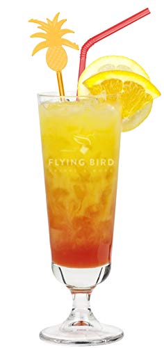 Flying Bird - Tequila Sunrise | 0,7l Bar Premix 28% vol für 17 fertige Cocktails | Orangensaft auffüllen und genießen – Bild 6