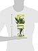 Marina Naturals, Green Dracena Silk Plant, Medium Fish Tank Decoration, PP95