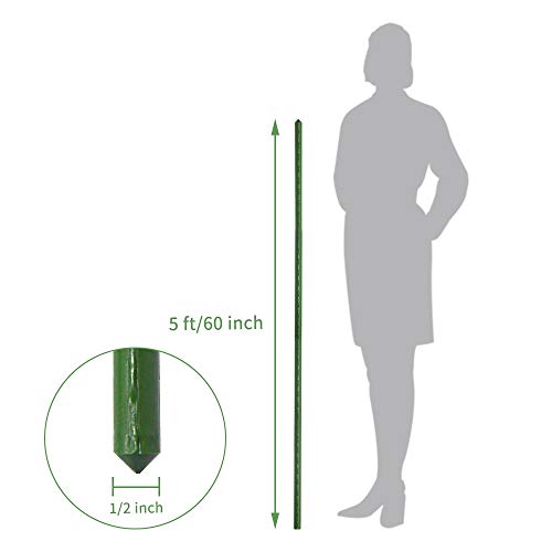 Growsun 5 Ft 5-Pack Tomato Cage Plant Support Garden Stakes, 100 Clips Include