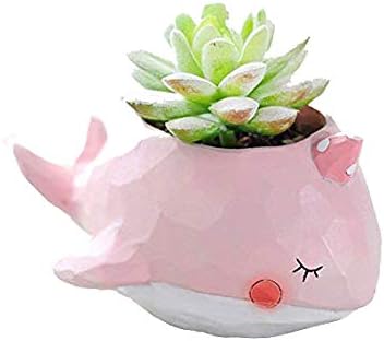 Pink Whale Succulent Planter Pots for Office House Balcony Landscape Creative Decorative Flower Pots (Pink Whale)