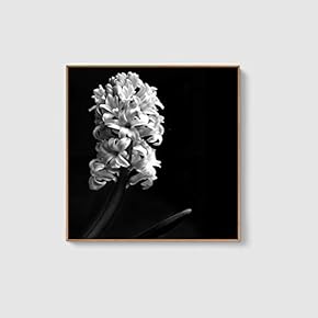 Framed Canvas Home Artwork Decoration Beautiful Flower Canvas Wall Art for Living Room, Bedroom - 16x16 inches