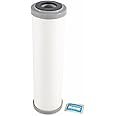 Camco EVO Premium RV Water Filter Replacement Cartridge for Inline Water Filter - Fits EVO Camper Water Filter Housing - Premium Carbon Absorbs Harmful Compounds & Reduces Bad Taste, Bacteria (40621)