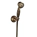 Rozin Antique Brass Handheld Showerhead + Shower Holder + Shower Hose