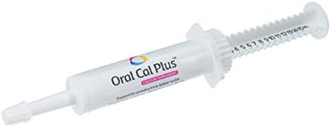 sliding screen door with pet flap