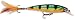 Rapala X-Rap 12 Fishing lure, 4.75-Inch, Perch