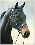 Henri De Rivel Dressage Bridle Cob Black