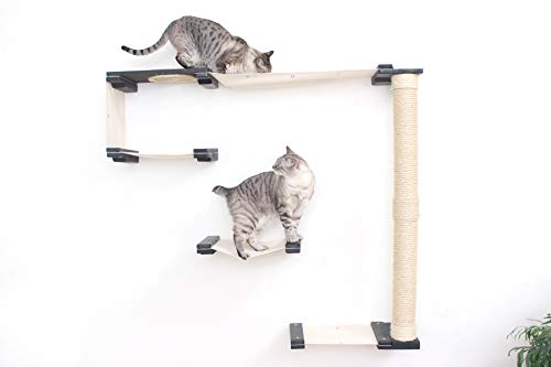 cat wall activity centre