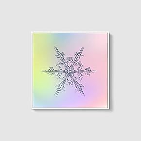 Framed Canvas Wall Art for Living Room, Bedroom Snowflake Theme Canvas Prints for Home Decoration Ready to Hang - 16x16 inches