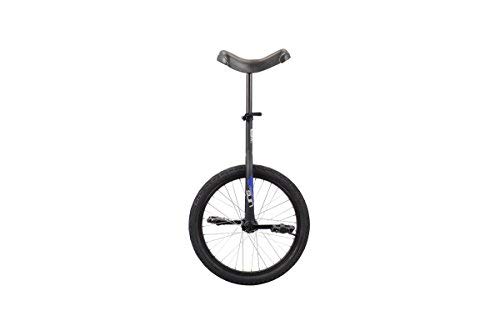 Sun 20 Inch Classic Black Unicycle