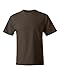 Hanes Born To Be Worn 100% Cotton Beefy-T T-Shirt, Dark Chocolate, M