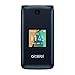 Alcatel Cingular Flip 2 4G LTE FlipPhone Bluetooth WIFI MP3 Camera Good for Elderly - GSM Unlocked (Renewed)