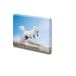 Canvas Prints Wall Art - White Arabian Horse Running/Galloping | Modern Wall Decor/Home Art Stretched Gallery Canvas Wraps Giclee Print & Ready to Hang - 12" x 18"