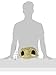 Prevue Hendryx 1097 Nature's Hideaway Grass Hut Toy, Medium, 11 x 9 x 6