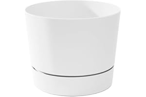 Root & Vessel Majestic Mid-Century Modern Low Profile Cylinder Pot, Matte White, 6.5"