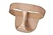 Body Wrappers 2-Inch Waistband ProBelt Classic Thong Dance Belt