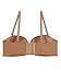 Youmita 6 Pack Push up Bra B, C, D, DD Cup