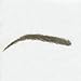 Cardani Eyebrow Tattoos #17 - Classic Shape Temporary Tattoo Eyebrows #17 Walnut Brown Tattoo