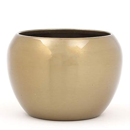 Ferns N Petals Copper Planter 3 x 5 Inches| for Indoor Plants