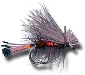 Amazon Com Elk Hair Caddis Royal Fly Fishing Fly Dry Fishing