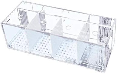 Fish Tank Fish Tanks and Aquariums Lsolated Fish Tanks Glass Aquarium Environmentally Friendly Design High Permeability Multi Directional Water Outlet Easy To Change Water Suitable For Fish Farming