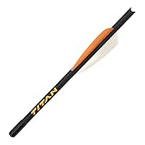 Allen Company Crossbow One Time Use Decocking