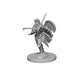 Pathfinder: Deep Cuts Unpainted Miniatures: Human Female Paladin by WizKids