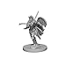 Pathfinder: Deep Cuts Unpainted Miniatures: Human Female Paladin by WizKids