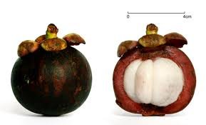 Fresh Purple Mangosteens (Set of 20) - Thumbnail 2