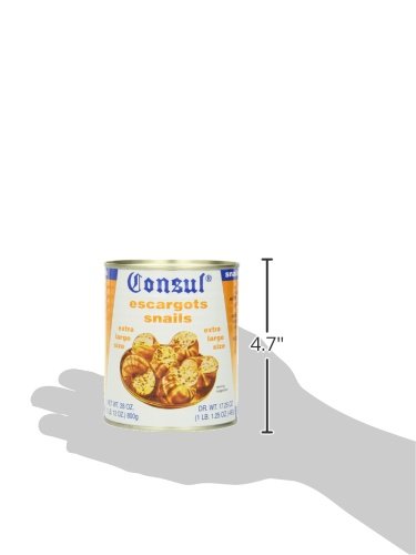 Consul Escargot Snails, Extra Large, 28 Ounce (Pack of 2) - Thumbnail 5