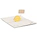 Paper Spiritz Sorry Pop up Cards Birthday, ,3D Anniversary Thank You Card,Pop-up Mother's Day Card, with Envelopes all Occasions