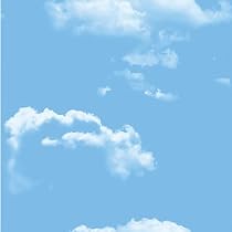 Amazon Com Flfk 30 件藍天白雲壁畫自黏牆紙撕開雲接觸紙牆畫兒童托兒所臥室廚房客廳背景 家居裝修