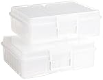 IRIS Extra Large 4 x 6 Inch Photo and Embellishment Craft Keeper, 2 Pack, Clear