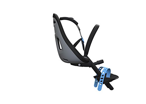 1 Thule+Yepp+Nexxt+Mini+Seat+Momentum