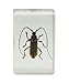 Celestron – Real 3D Bugs in Clear Resin – 4pc Set Includes Scorpion, Stag Beetle, Longhorn Beetle, and Fire Bug – Perfect for Science Eduction and Classroom – Use with Digital and Stereo Microscopes
