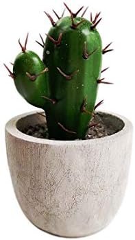 Artificial Prickly pear Pots mini fake Plants pot fake cactus wolftree Artificial cactus tree in mini pot cute plant for home office decoration, desks decor ornament
