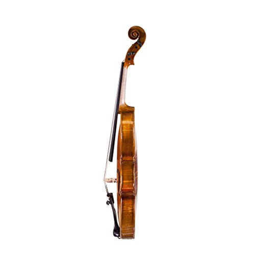 Fiddlerman Artist Violin 4/4 Outfit with Case, Bow, Rosin, Shoulder Rest
