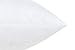 SweetBed Decorative Throw Pillow Insert Form Cushion Square 18