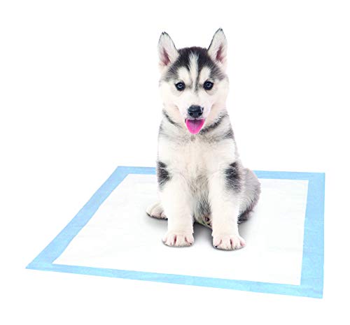 3 AKC+150+Pack+Training+Pads+Box