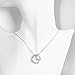 Buycitky 14k White Gold Rose Gold Plated Twist Love Heart Pendant Necklace Women Teen Girls Loving You Iterlocking Heart Necklace (Loving You)