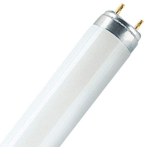 Bug Zapper Light Bulb | 10W Bug Zapper Replacement Bulb Fits Most 20W Bug Zappers | 1 Bug Zapper Bulb Per Pack | 13.6 x 1.02 Inch