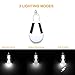 2 Pack Solar Light Bulb, Rechargeable Emergency LED Light Bulb for Power Outage Failure,Camping,Outdoor,Survival Kits,Hurricane,Storm (USB Rechargeable, 2 Pack)