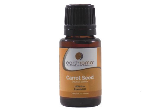 Carrot Seed Essential Oil - 15 ml. 100% Pure, Undiluted, Therapeutic Grade, Cold Stored