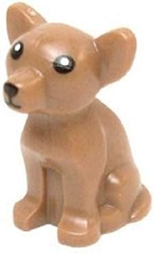 licensed and bonded pet sitters near me