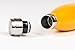 Element Stainless Steel Water Bottle Double Wall Vacuum Insulated 17 oz with Bonus Gift Box