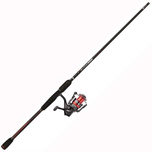 abu garcia blue max spinning combo
