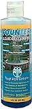 EasyCare FounTec Algaecide and Clarifier, 8 oz. Bottle (2 Bottles - 16 Ounces)