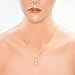 Honolulu Jewelry Company 14k Yellow Gold Plated Sterling Silver CZ Two Plumeria Pendant Necklace with 18