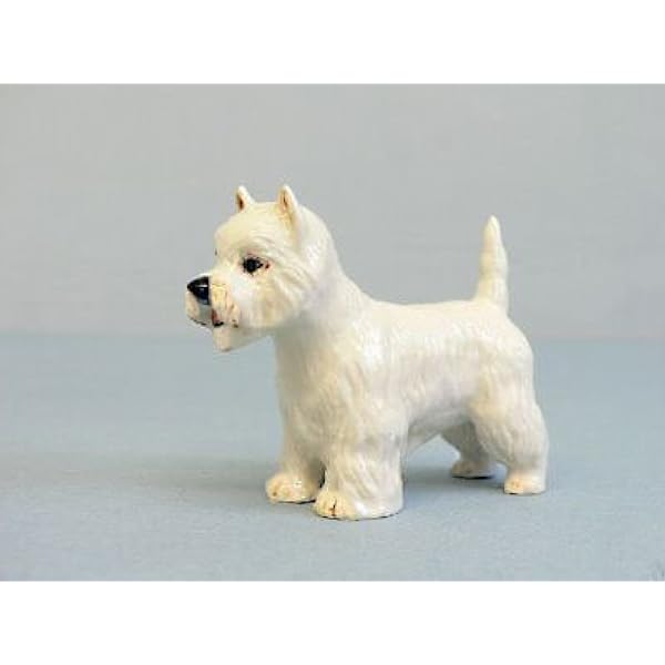 north highland terrier